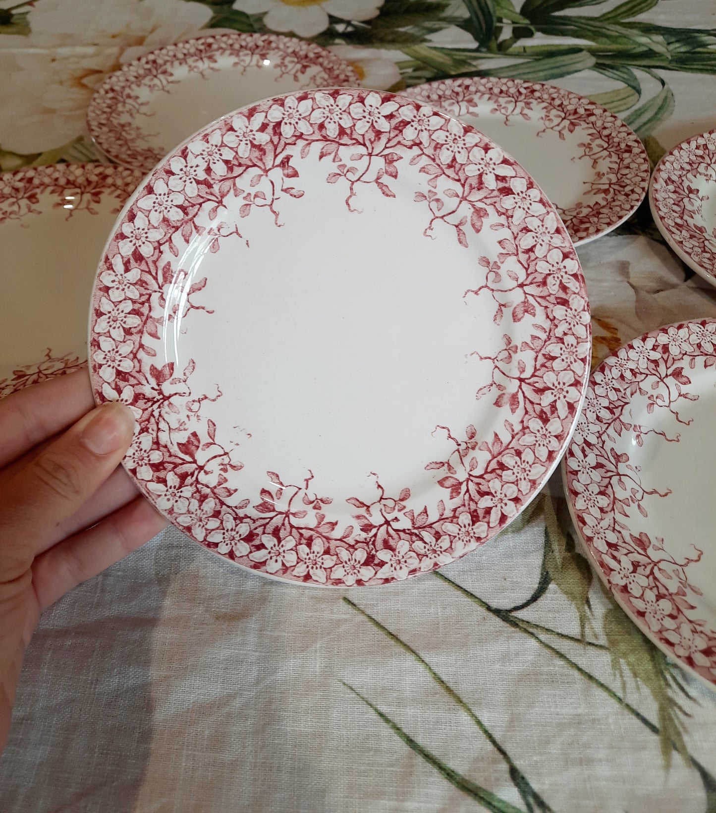 Lot de 6 assiettes à dessert Sarreguemines "Florine"