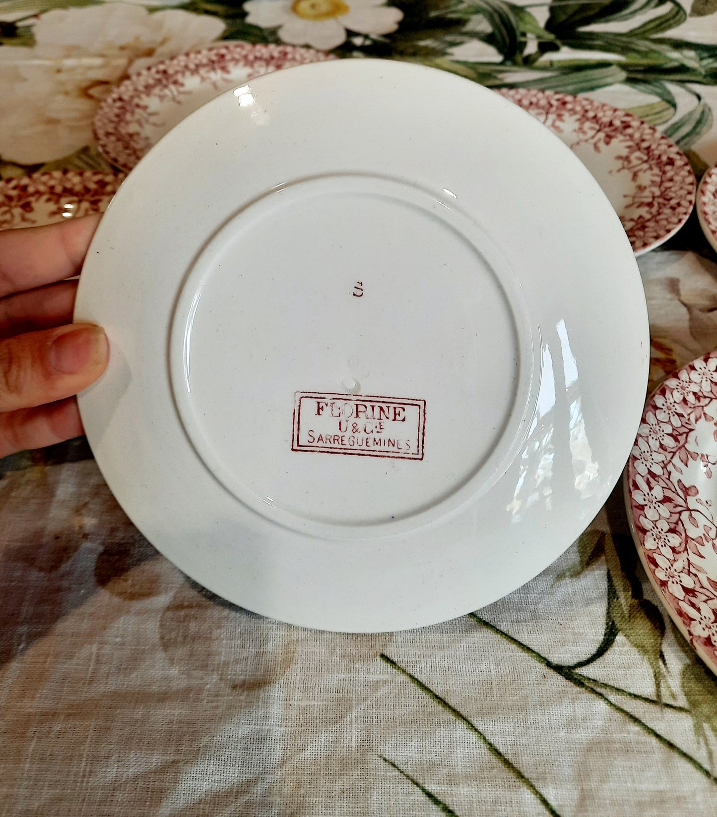 Lot de 6 assiettes à dessert Sarreguemines "Florine"