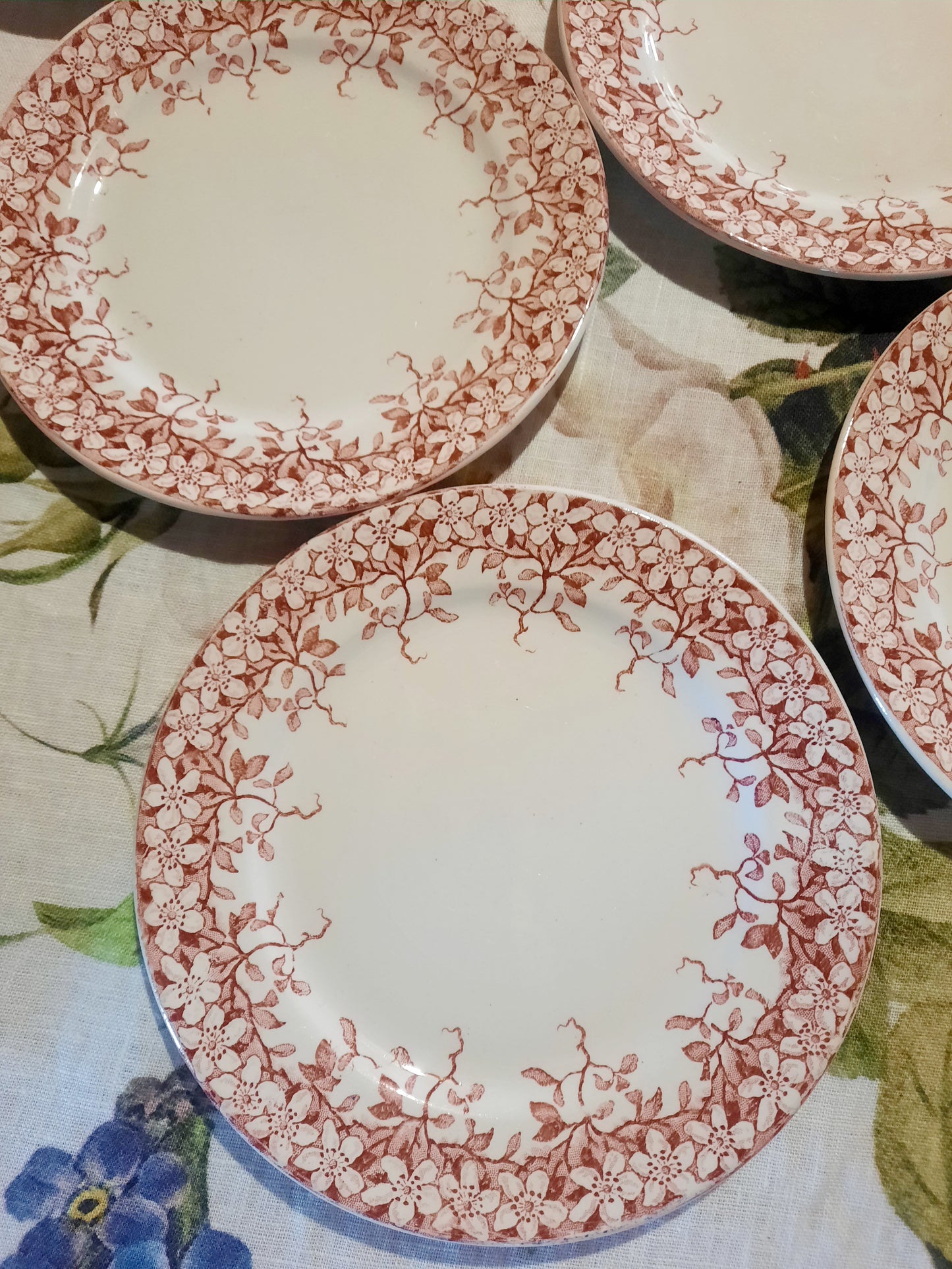 Lot de 6 assiettes à dessert Sarreguemines "Florine"