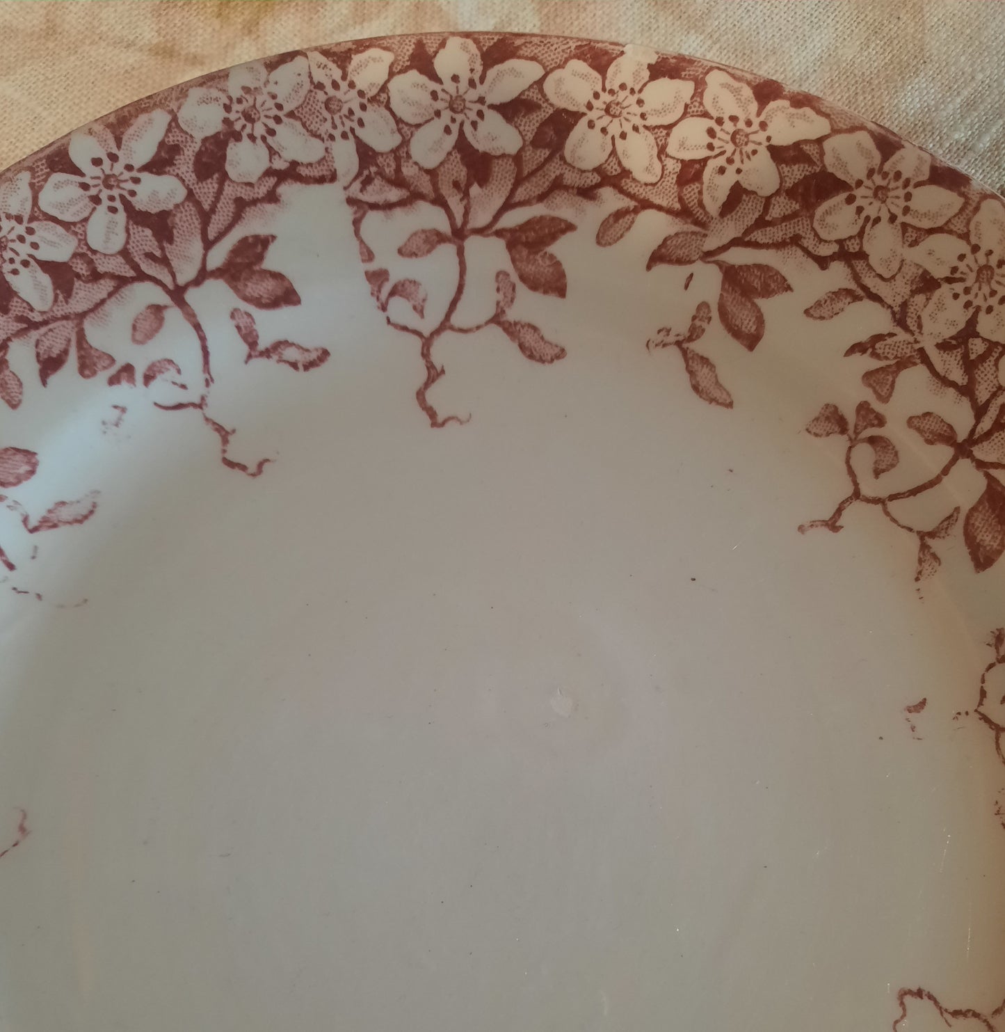 Lot de 6 assiettes à dessert Sarreguemines "Florine"