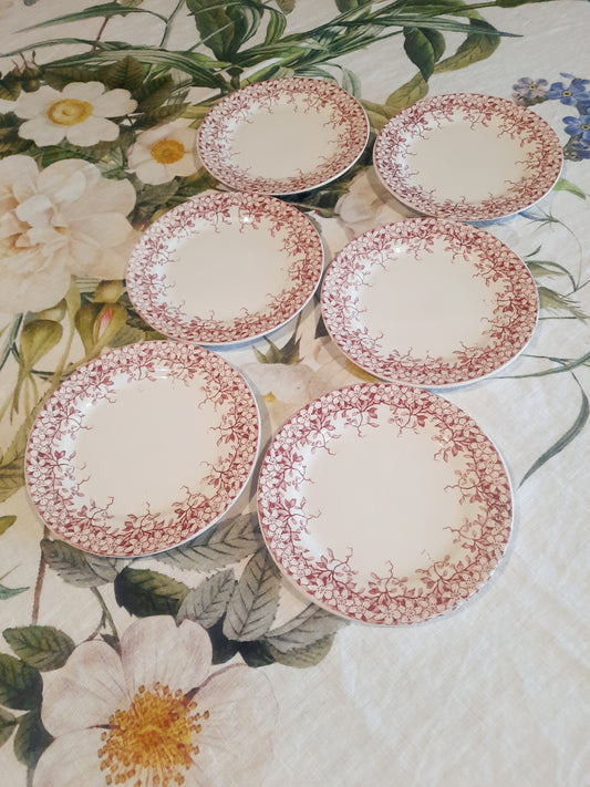 Lot de 6 assiettes à dessert Sarreguemines "Florine"