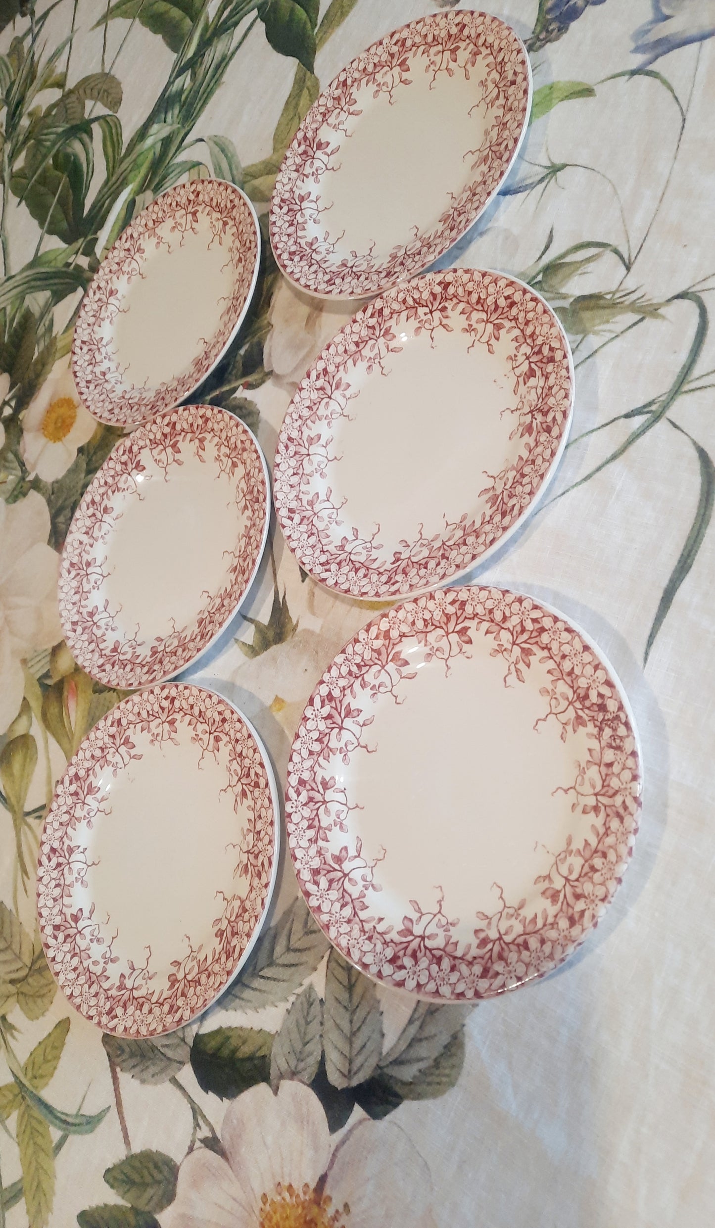 Lot de 6 assiettes à dessert Sarreguemines "Florine"
