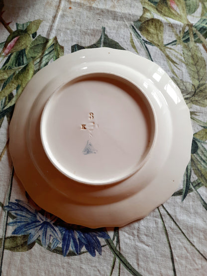 Lot de 6 assiettes plates  – Manufacture Waechtersbach, XIXe siècle