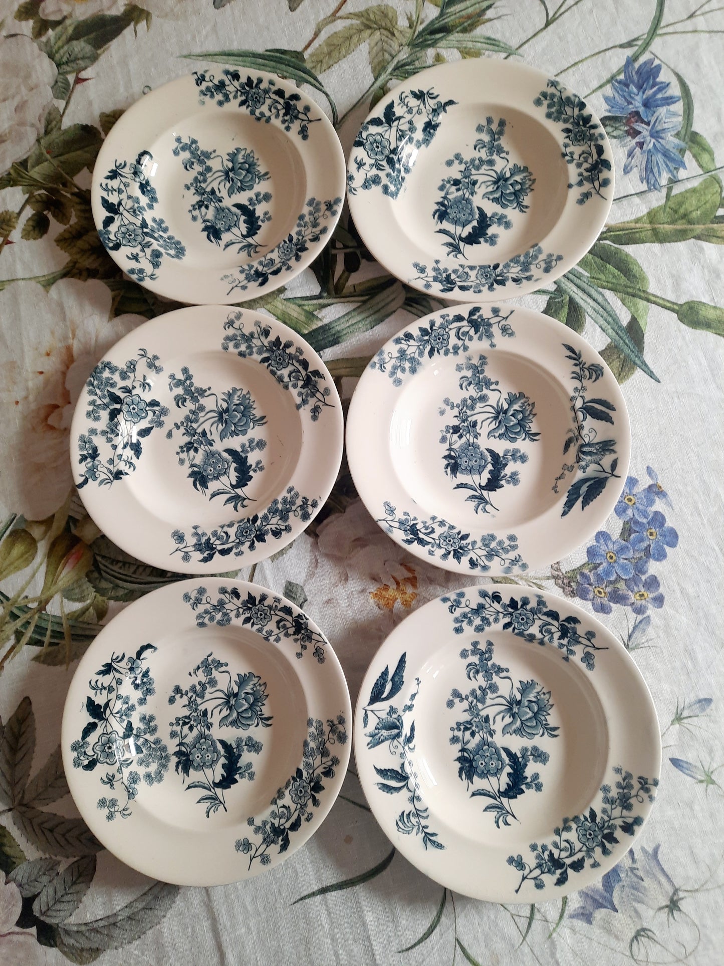 Lot de 6 assiettes creuses – modèle YCHO