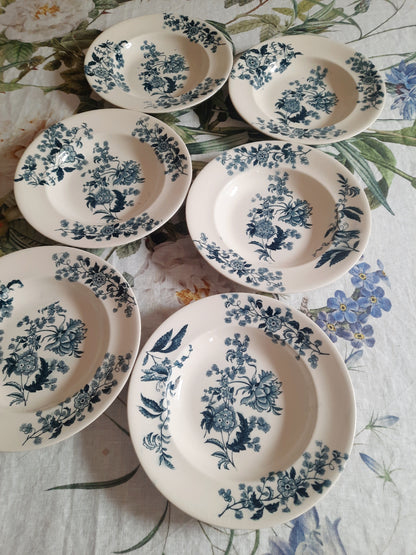 Lot de 6 assiettes creuses – modèle YCHO