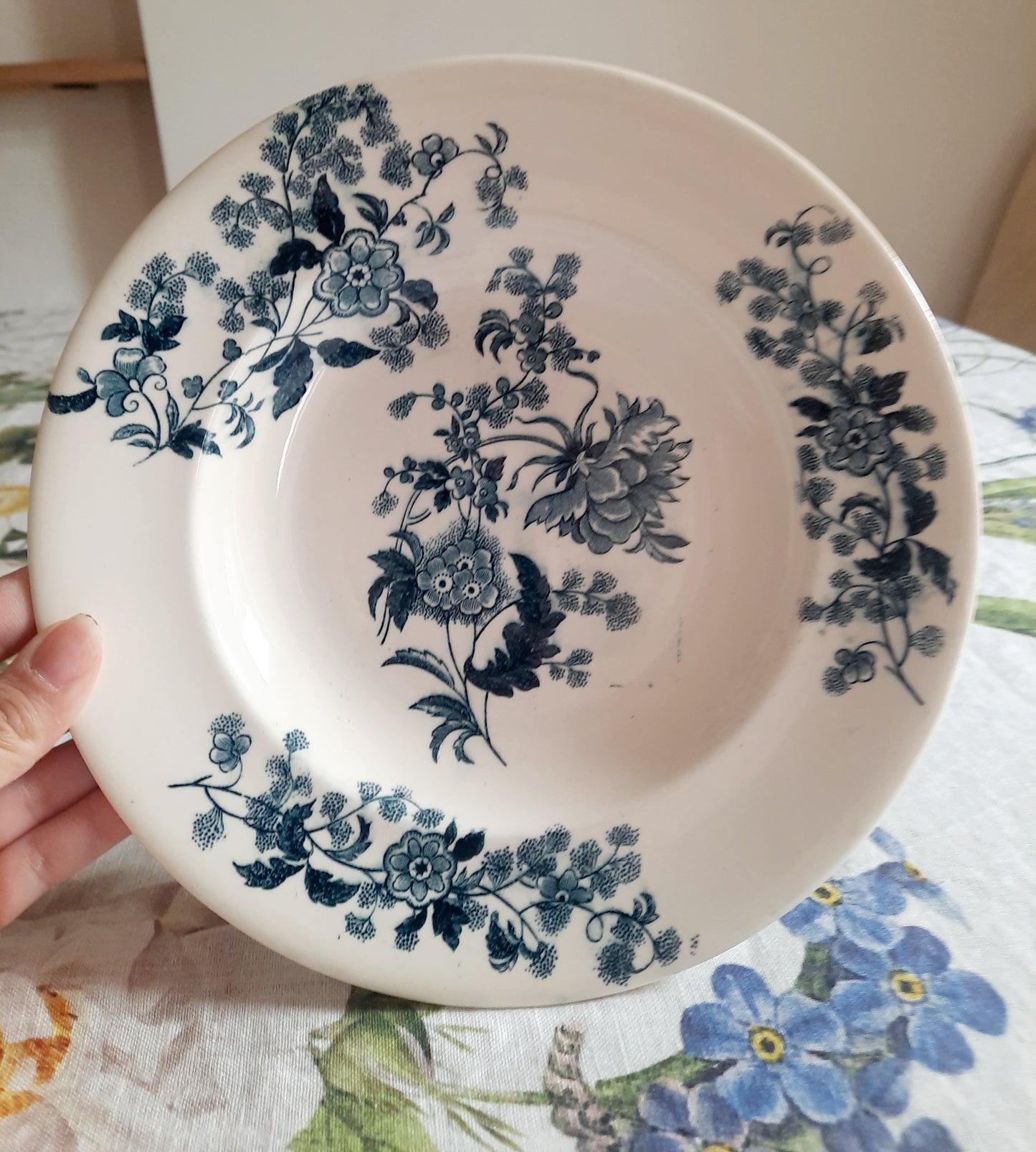 Lot de 6 assiettes creuses – modèle YCHO