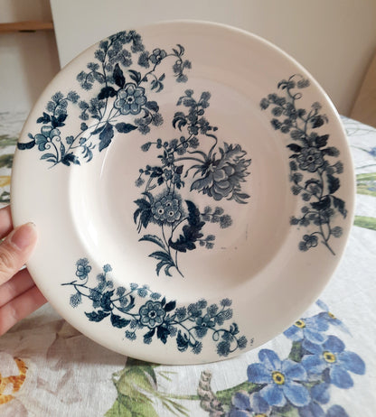 Lot de 6 assiettes creuses – modèle YCHO