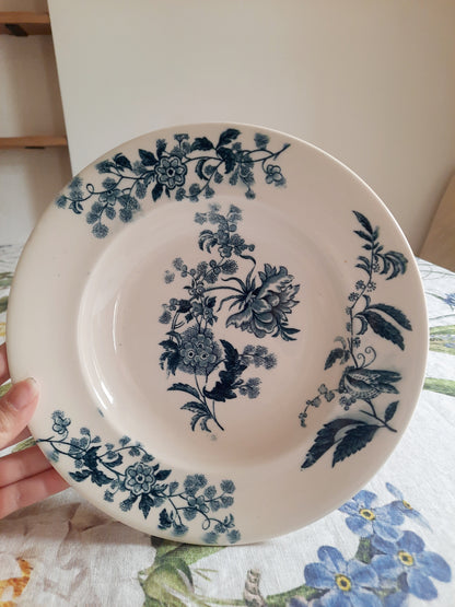 Lot de 6 assiettes creuses – modèle YCHO