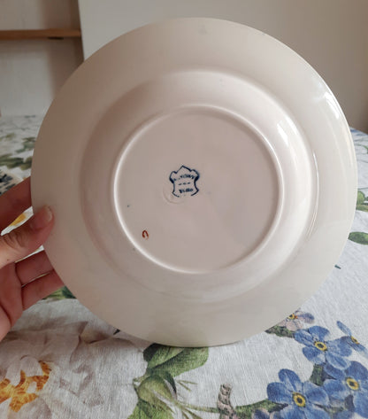 Lot de 6 assiettes creuses – modèle YCHO