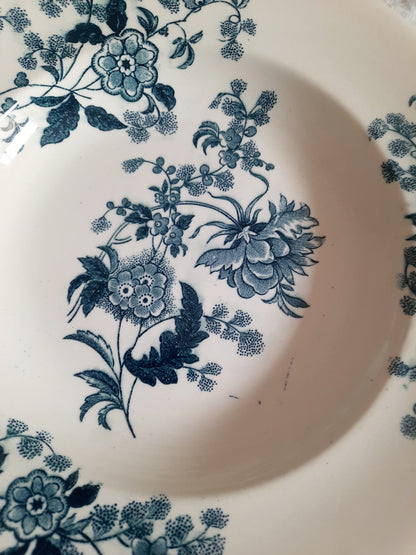 Lot de 6 assiettes creuses – modèle YCHO
