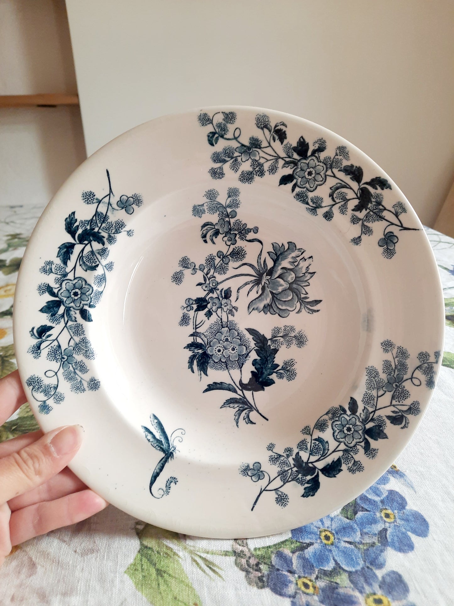 Lot de 6 assiettes creuses – modèle YCHO