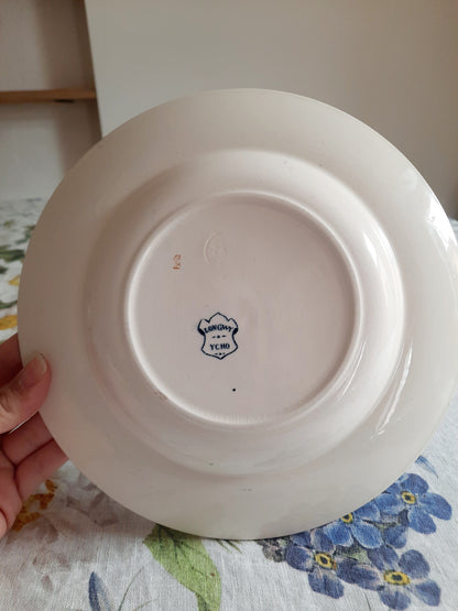 Lot de 6 assiettes creuses – modèle YCHO