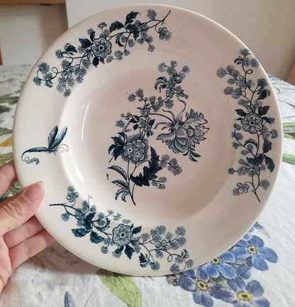 Lot de 6 assiettes creuses – modèle YCHO