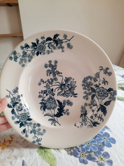 Lot de 6 assiettes creuses – modèle YCHO