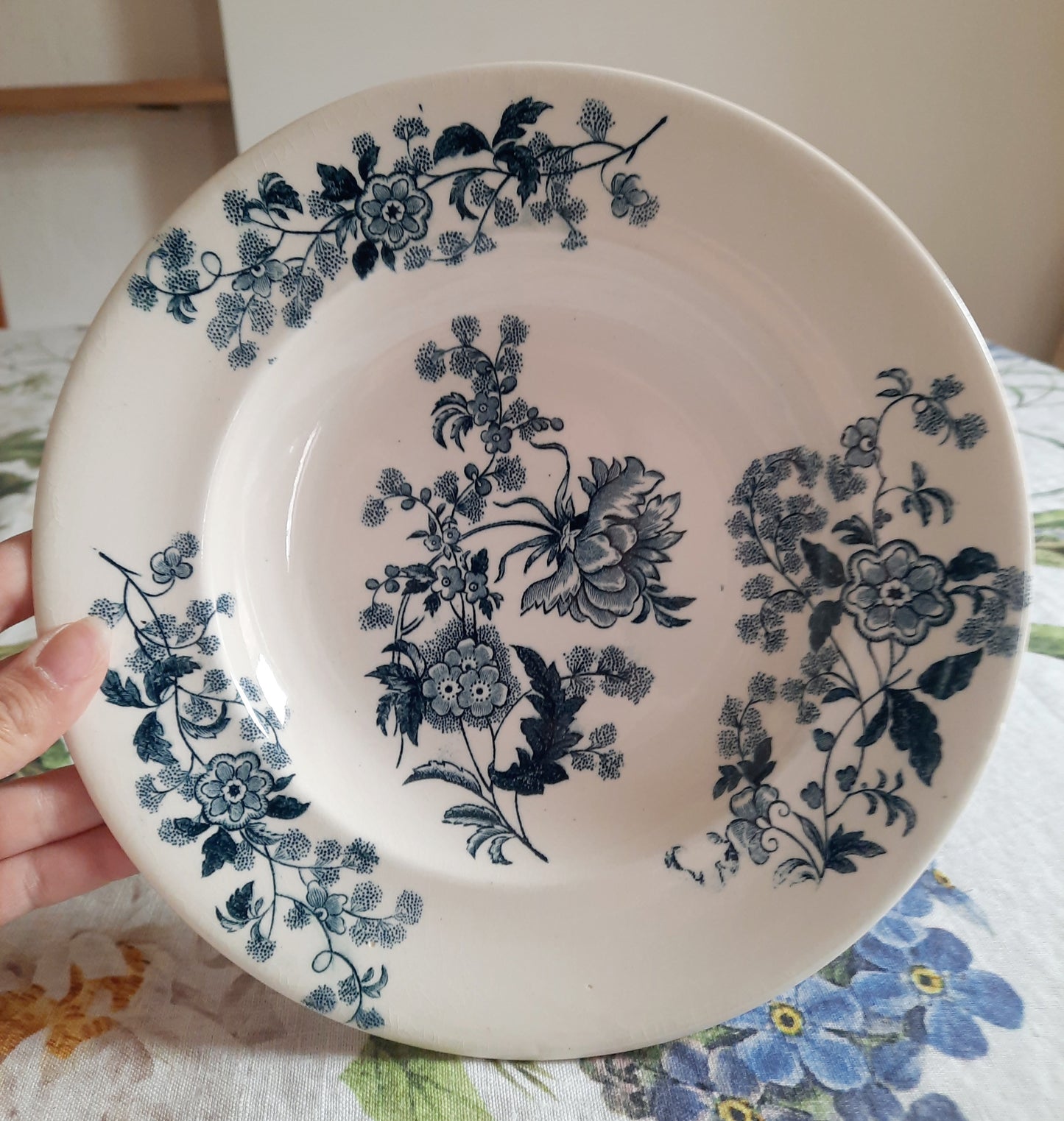 Lot de 6 assiettes creuses – modèle YCHO