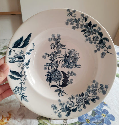 Lot de 6 assiettes creuses – modèle YCHO