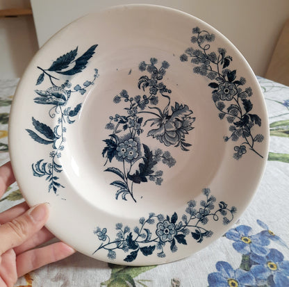 Lot de 6 assiettes creuses – modèle YCHO