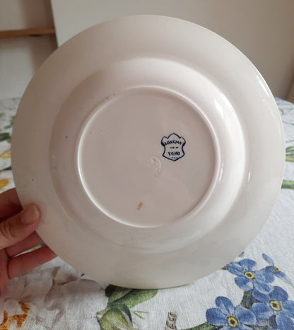 Lot de 6 assiettes creuses – modèle YCHO