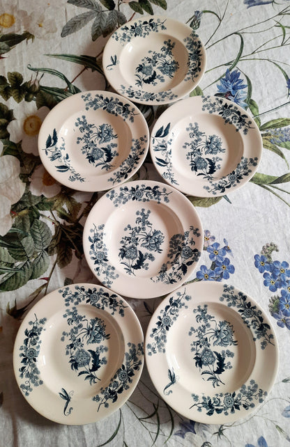 Lot de 6 assiettes creuses – modèle YCHO