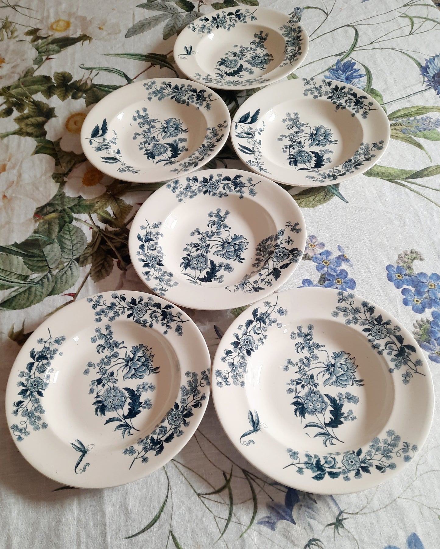 Lot de 6 assiettes creuses – modèle YCHO