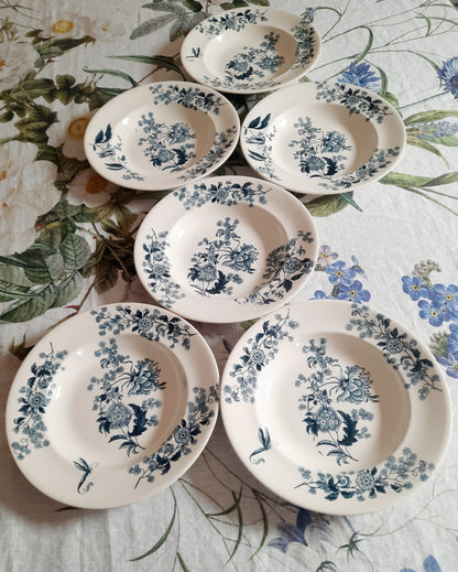 Lot de 6 assiettes creuses – modèle YCHO
