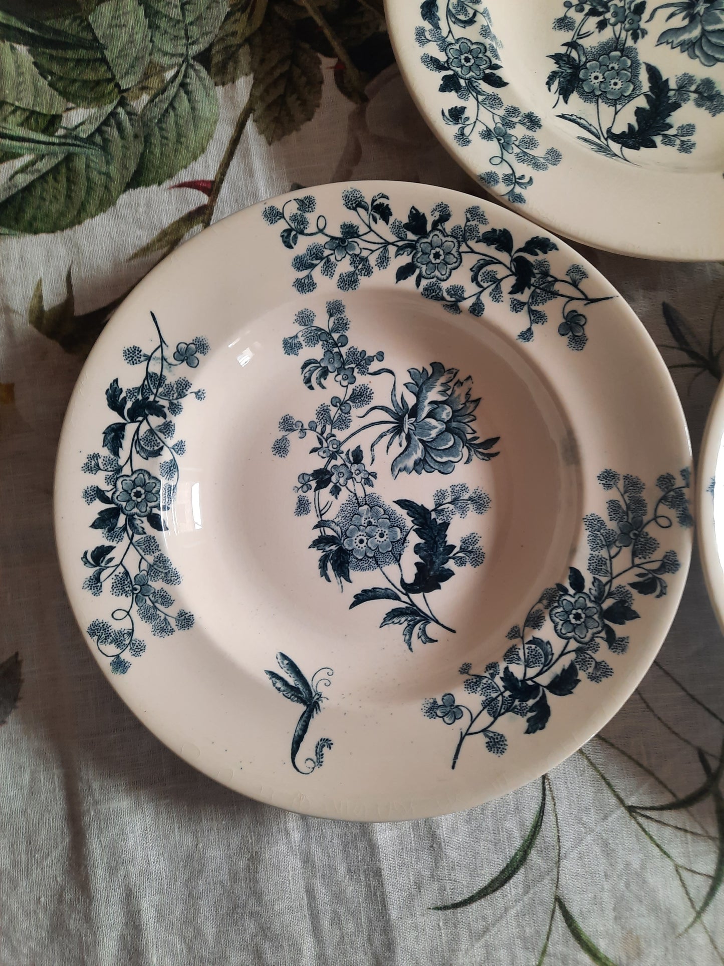 Lot de 6 assiettes creuses – modèle YCHO