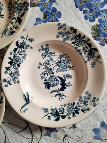 Lot de 6 assiettes creuses – modèle YCHO