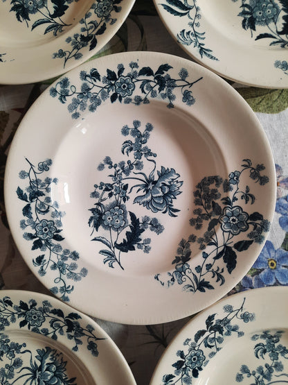 Lot de 6 assiettes creuses – modèle YCHO