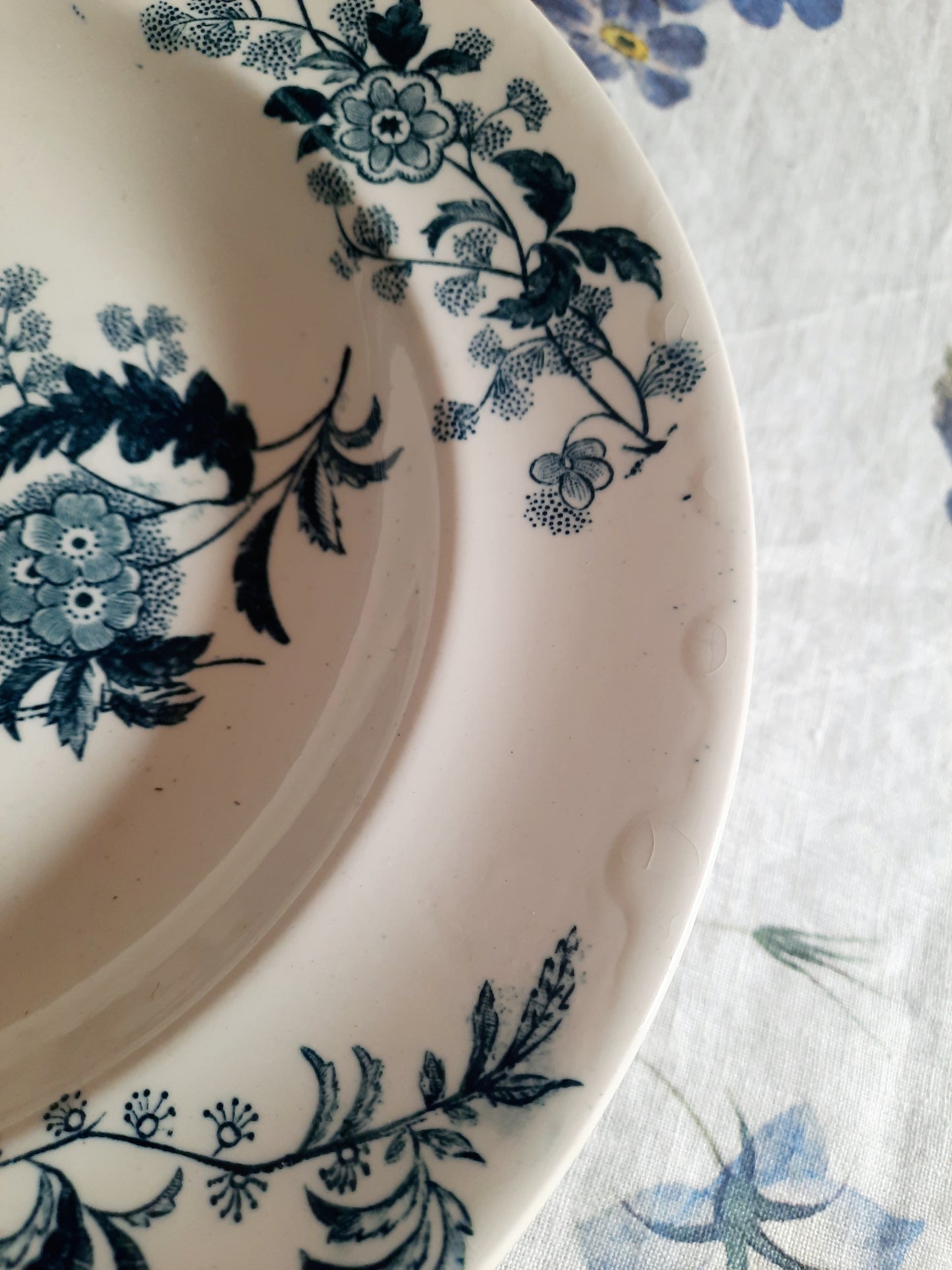 Lot de 6 assiettes creuses – modèle YCHO