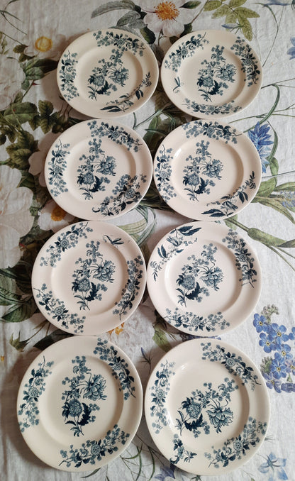 Lot de 8 assiettes plates – modèle YCHO
