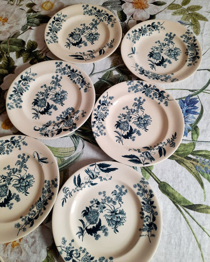 Lot de 8 assiettes plates – modèle YCHO