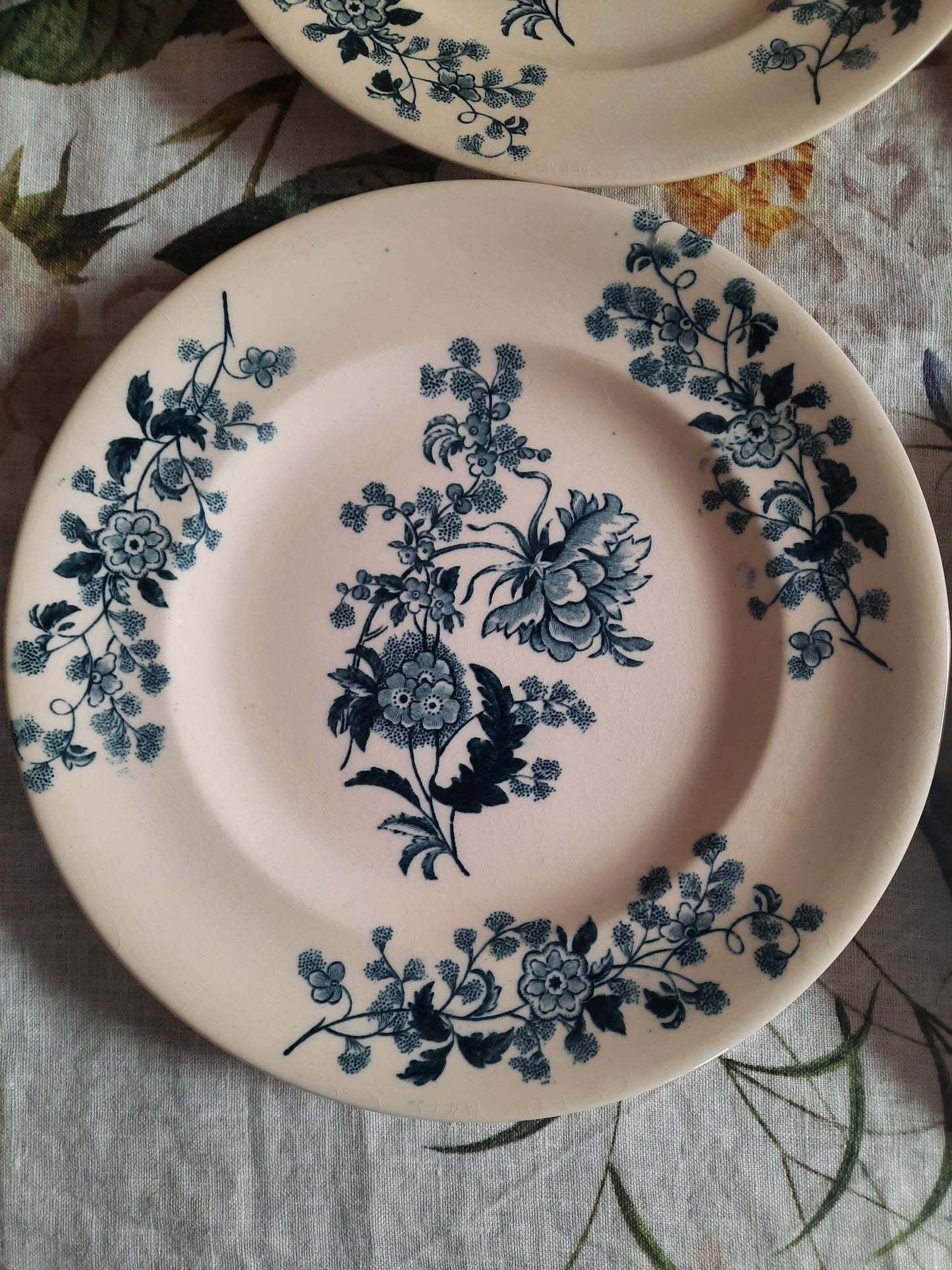 Lot de 8 assiettes plates – modèle YCHO