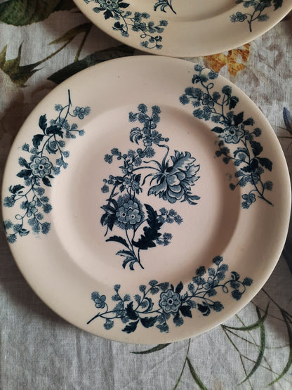 Lot de 8 assiettes plates – modèle YCHO