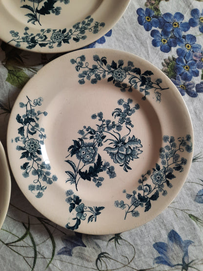 Lot de 8 assiettes plates – modèle YCHO
