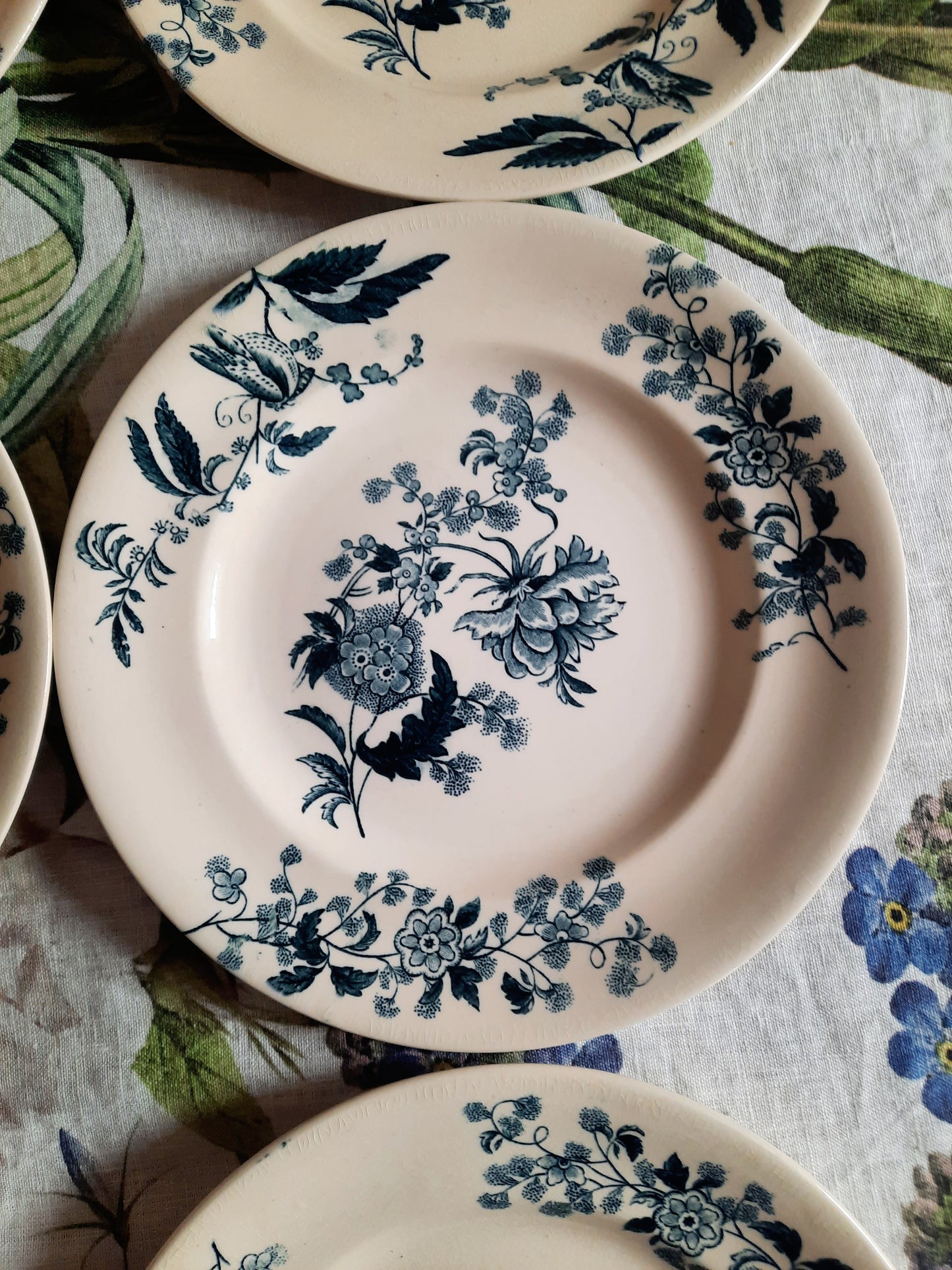 Lot de 8 assiettes plates – modèle YCHO