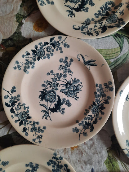 Lot de 8 assiettes plates – modèle YCHO