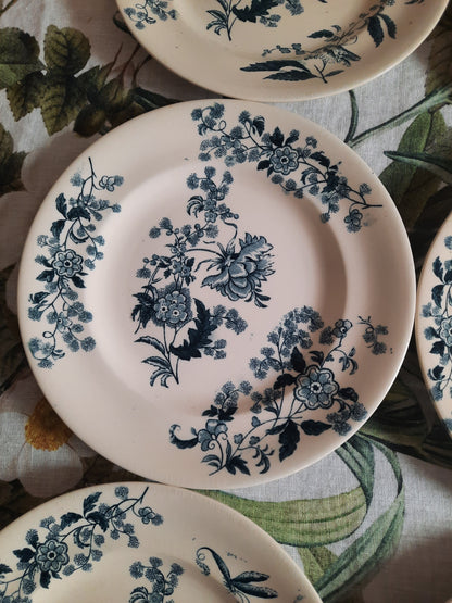Lot de 8 assiettes plates – modèle YCHO