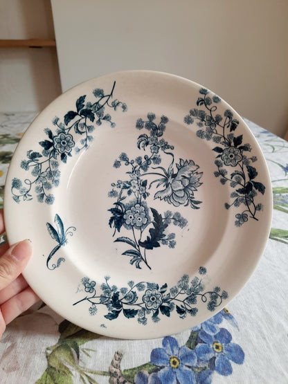 Lot de 8 assiettes plates – modèle YCHO