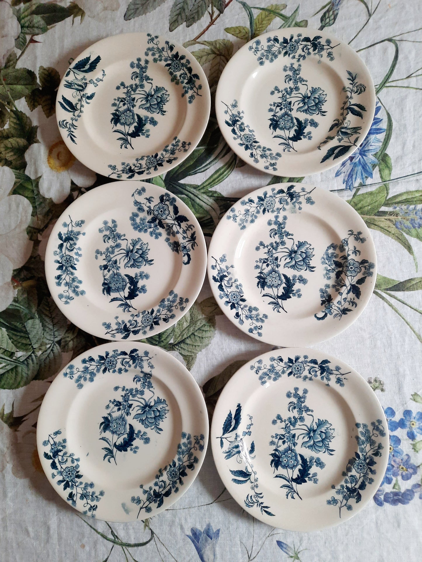 Lot de 6 assiettes plates – modèle YCHO