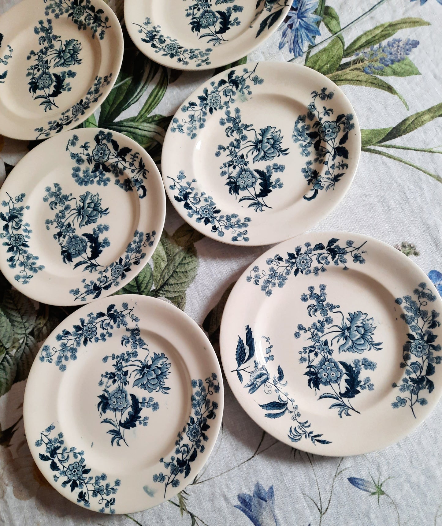 Lot de 6 assiettes plates – modèle YCHO