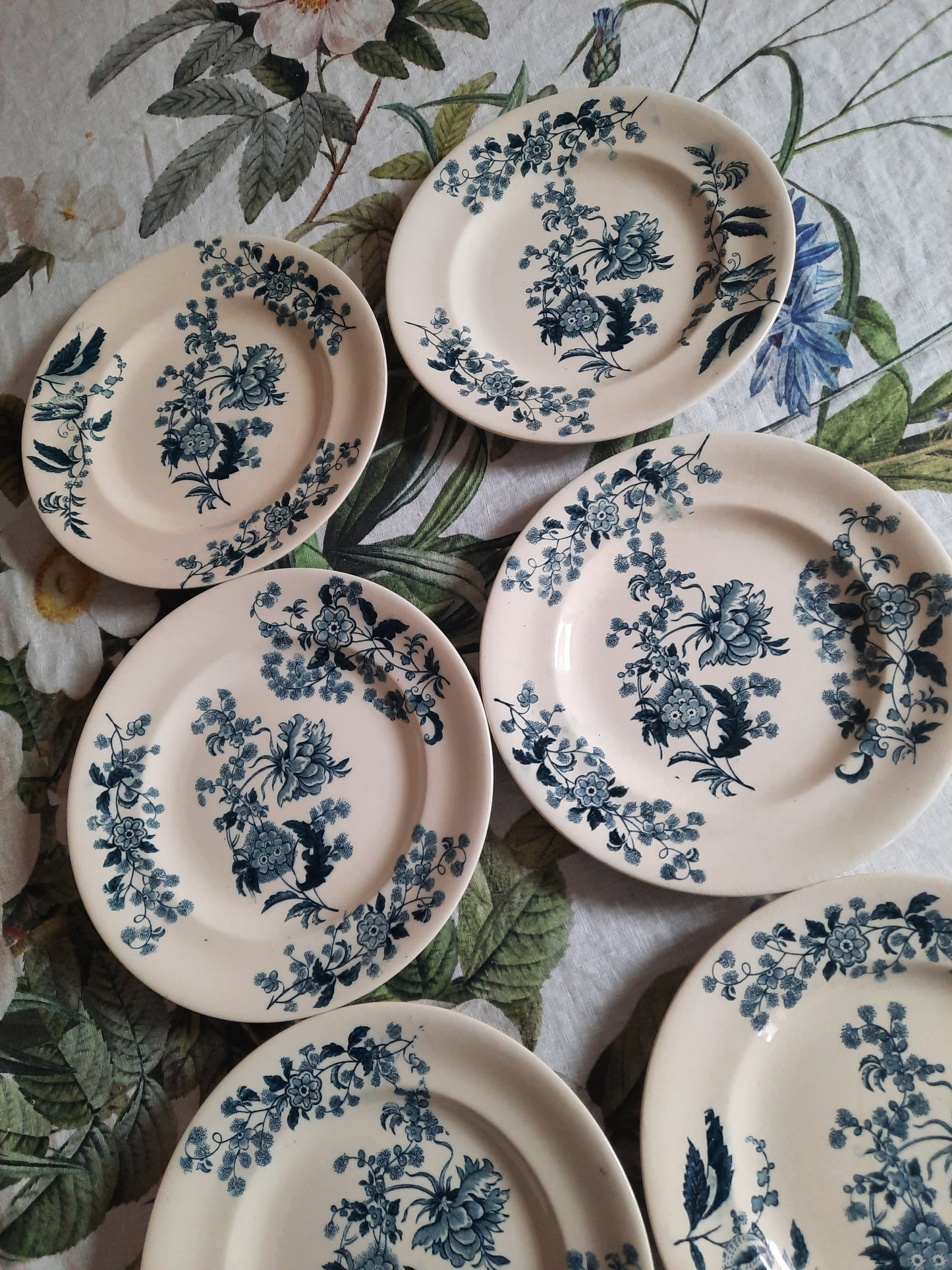 Lot de 6 assiettes plates – modèle YCHO
