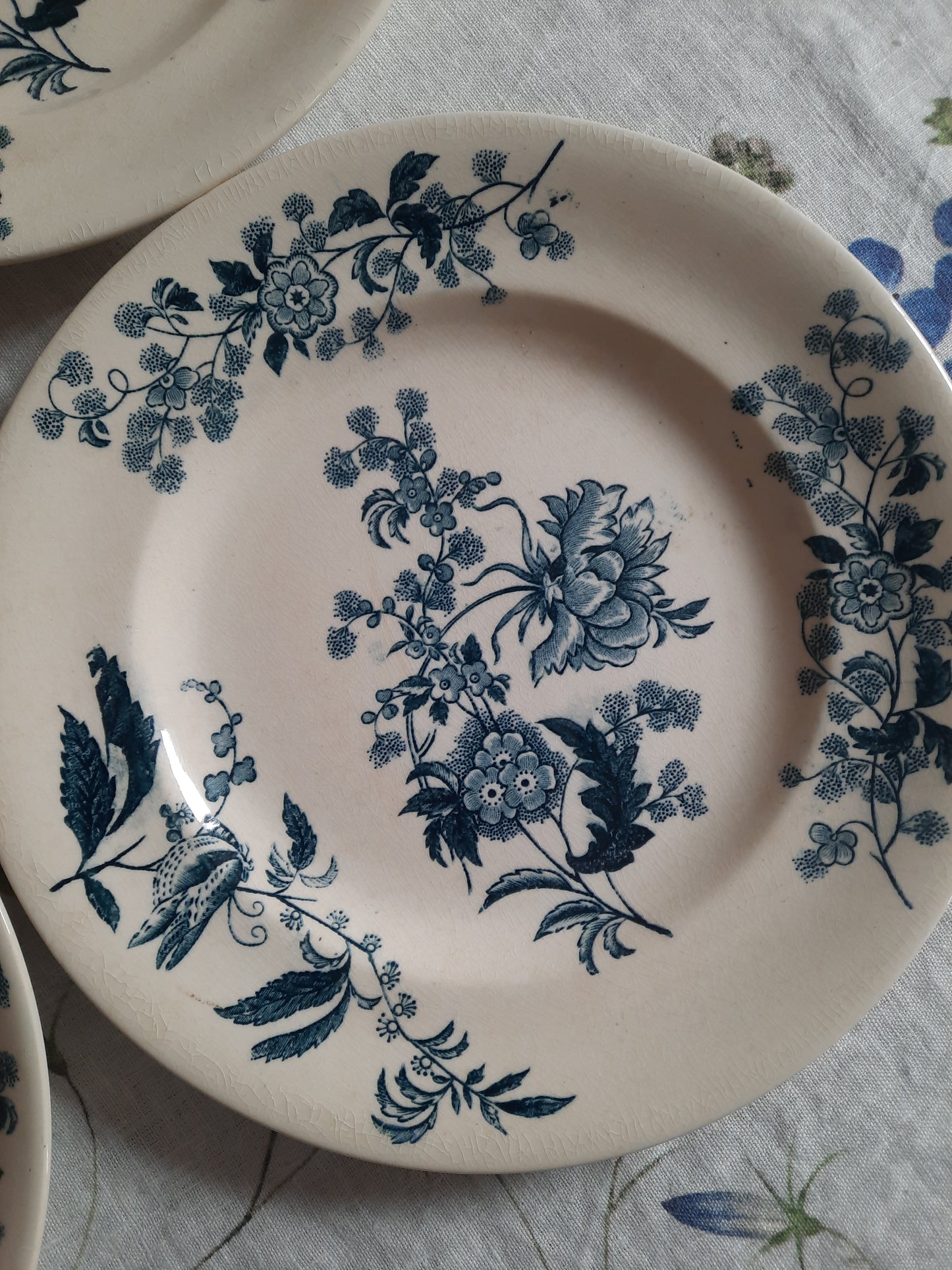 Lot de 6 assiettes plates – modèle YCHO