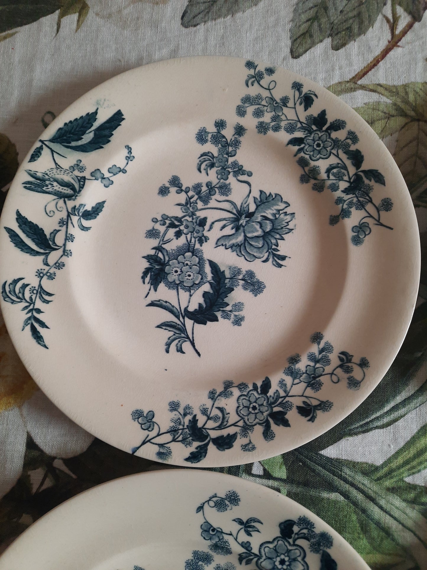 Lot de 6 assiettes plates – modèle YCHO