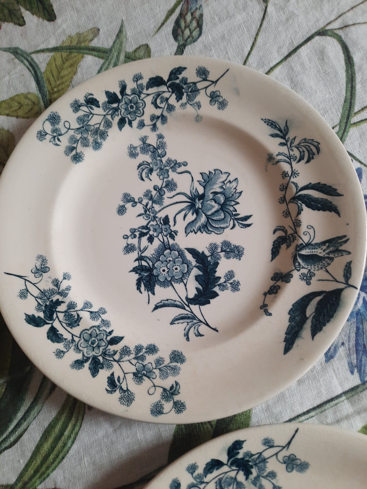 Lot de 6 assiettes plates – modèle YCHO