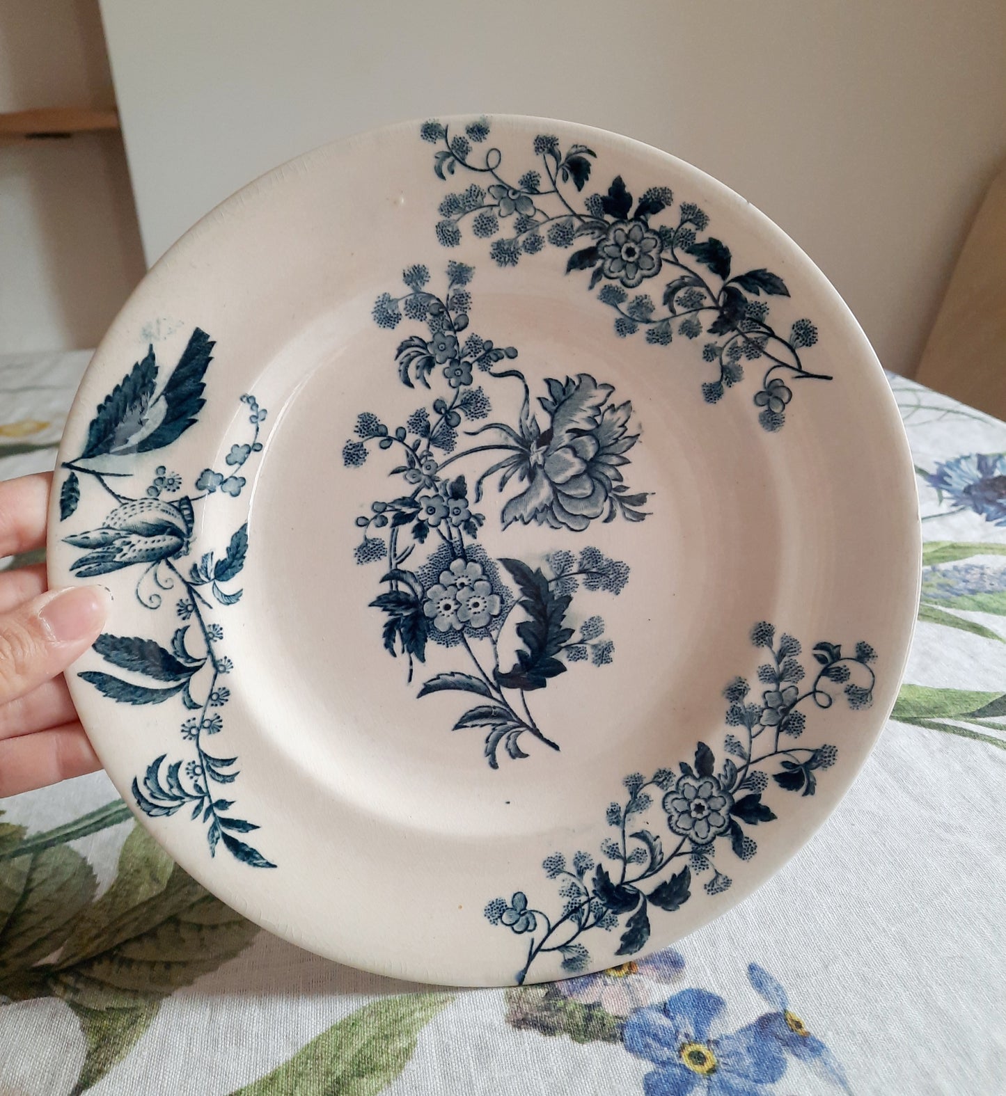 Lot de 6 assiettes plates – modèle YCHO