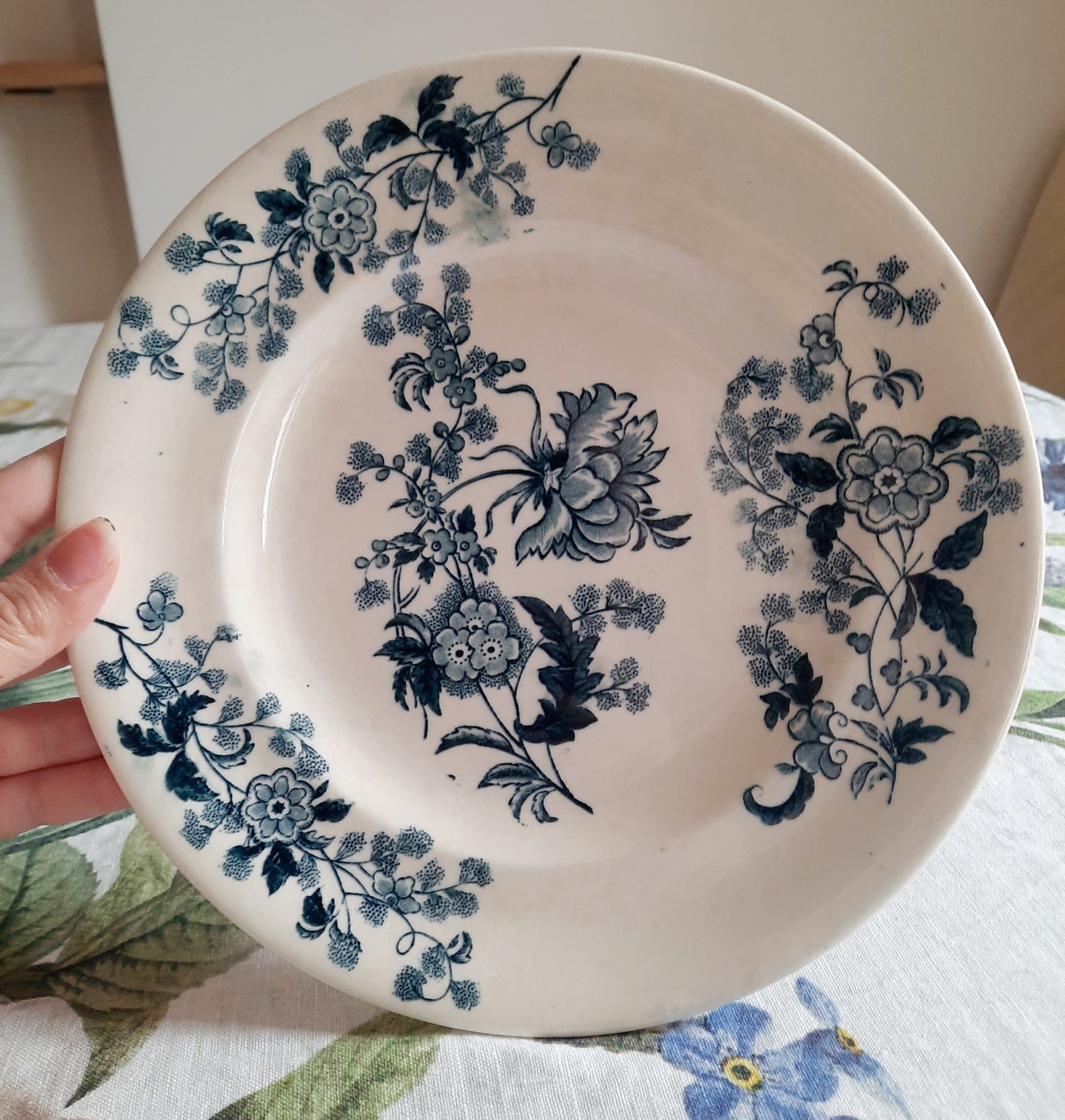 Lot de 6 assiettes plates – modèle YCHO