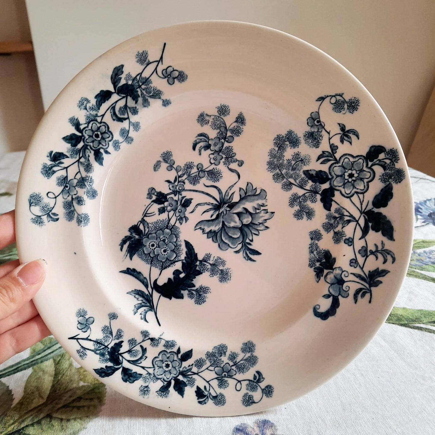 Lot de 6 assiettes plates – modèle YCHO