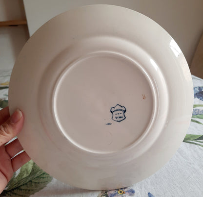 Lot de 6 assiettes plates – modèle YCHO