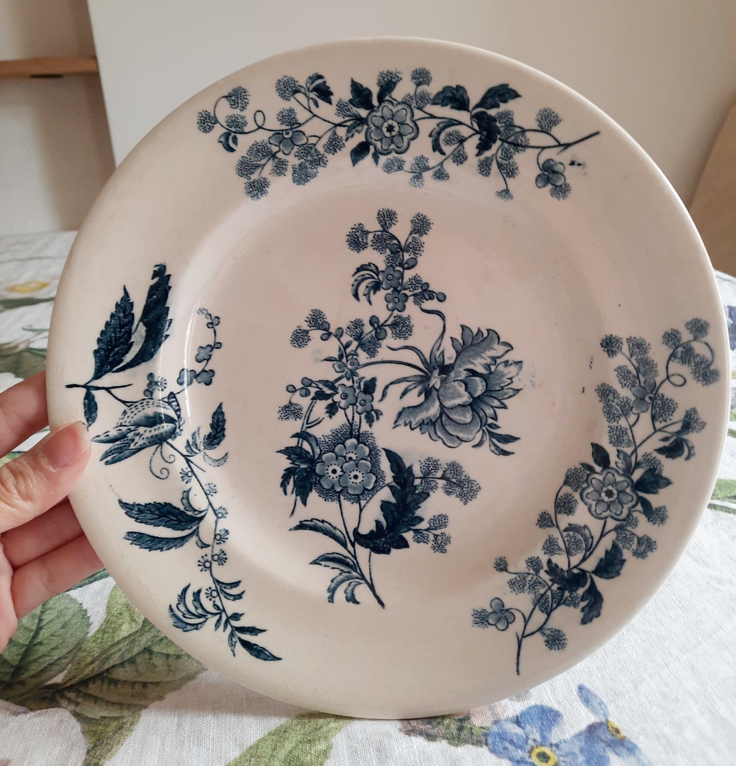 Lot de 6 assiettes plates – modèle YCHO