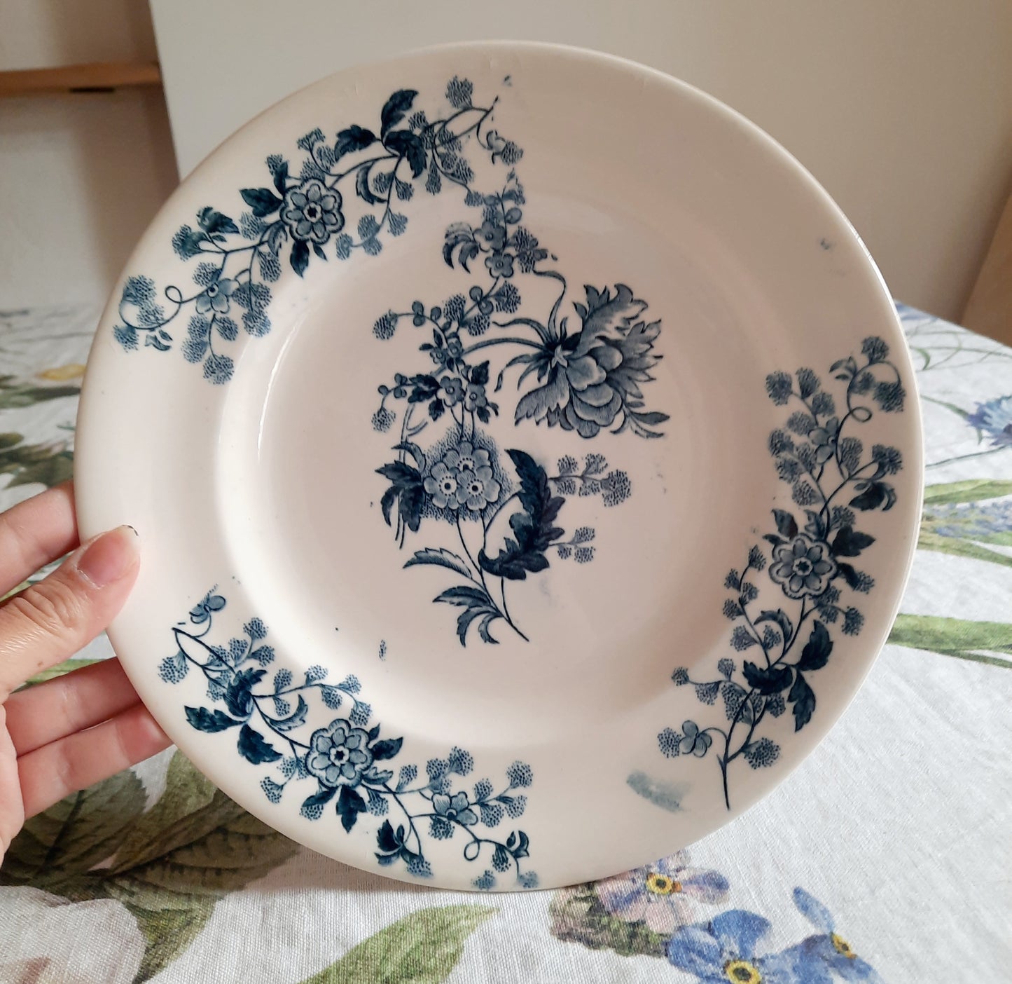 Lot de 6 assiettes plates – modèle YCHO